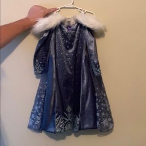 Elsa costume/dress size 4